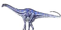 (Pic.
Diplodocus)